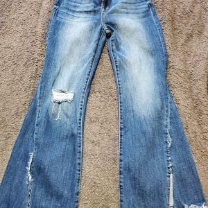 Chic Flare Blue Jeans